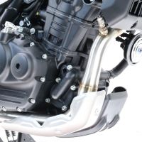 Pot echappement compatible avec Royal Enfield Himalayan 450 2024-2025, Decatalizzatore, Suppresseur de cataliseu, décatalyseurr, article sans homologation 