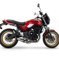 Pot echappement compatible avec Kawasaki Z 650 RS 2024-2025, Deeptone Inox, Pot echappement racing, ligne complet, fourni avec collecteur spécifique, article sans homologation 