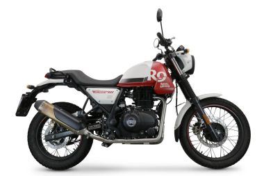 Pot echappement compatible avec Royal Enfield Himalayan 410 Diam.36mm 2017-2020, Decatalizzatore, Suppresseur de cataliseu, décatalyseurr, article sans homologation 