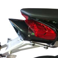 Pot echappement compatible avec Benelli Tnt 1130 2008-2016, Tiburon Poppy, Échappement légal, homologué,silencieux avec db killer amovible et tuyau de liaison spécifique 