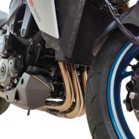 Pot echappement compatible avec Suzuki Gsx-S 1000 GT 2021-2025, Decatalizzatore, Suppresseur de cataliseu, décatalyseurr, article sans homologation 