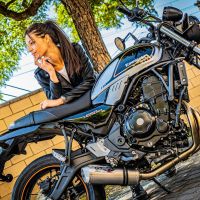 Pot echappement compatible avec Kawasaki Z 650 RS 2021-2023, Satinox, Pot échappement complet, non légal pour les pays de l'UE, avec db killer amovible 