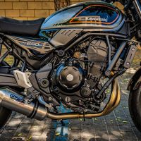 Pot echappement compatible avec Kawasaki Z 650 RS 2021-2023, Satinox, Pot échappement complet, non légal pour les pays de l'UE, avec db killer amovible 
