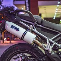 Pot echappement compatible avec Triumph Tiger 900 2020-2023, Albus Evo4, Échappement légal, homologué,silencieux avec db killer amovible et tuyau de liaison spécifique 