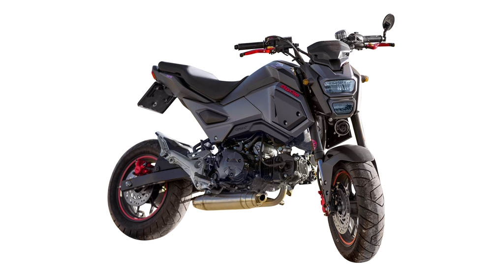 Pot echappement compatible avec Honda Msx - Grom 125 2013-2017, Deeptone Inox, Pot echappement racing, ligne complet, fourni avec collecteur spécifique, article sans homologation 