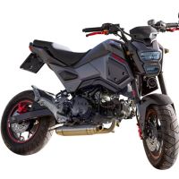 Pot echappement compatible avec Honda Msx - Grom 125 2013-2017, Deeptone Inox, Pot echappement racing, ligne complet, fourni avec collecteur spécifique, article sans homologation 